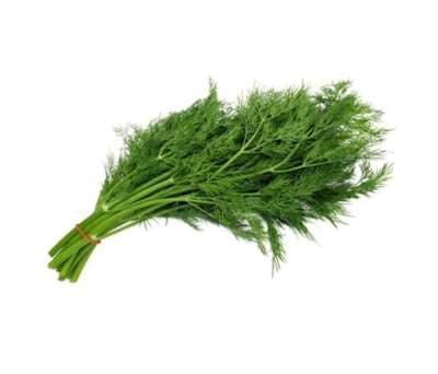 Սամիթ