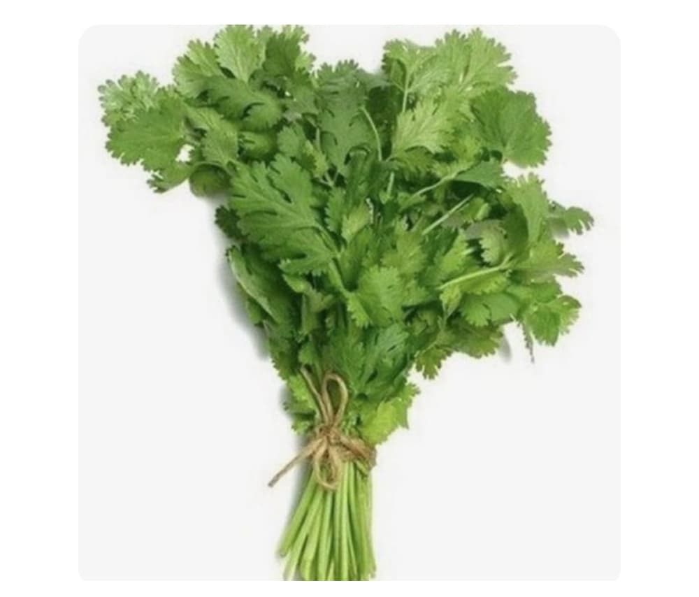 Մաղադանոս