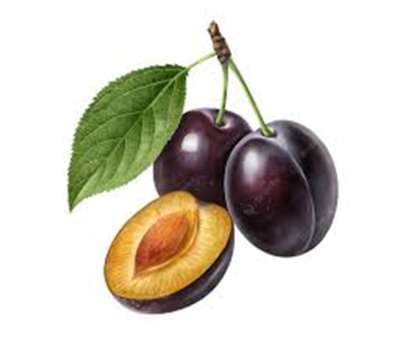Սալոր սև
