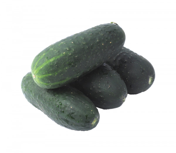 Cucumber Kotek