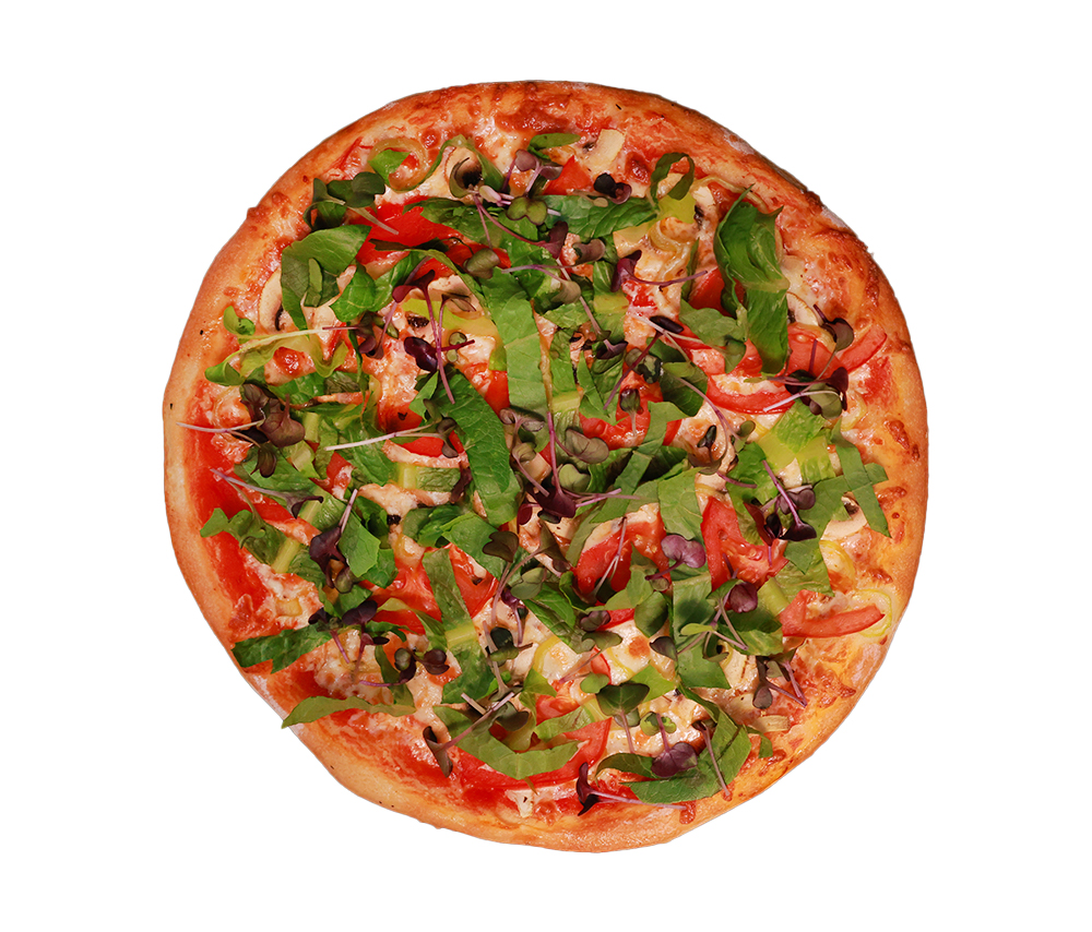 Vegetable pizza