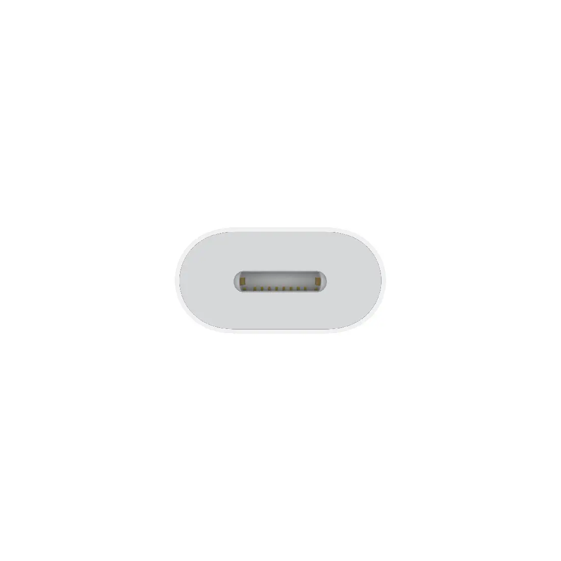 Carrier Apple USB-c to Lightning Adapter A2868 MUQX3