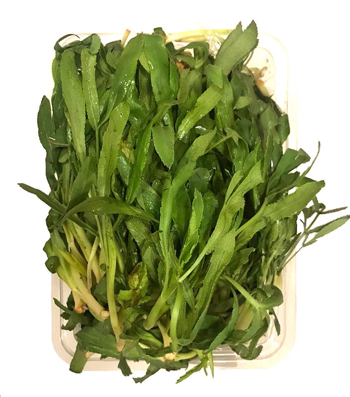 Սիբեխ