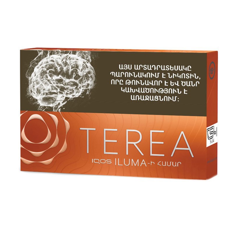 Heat-not-burn sticks "TEREA AMBER"