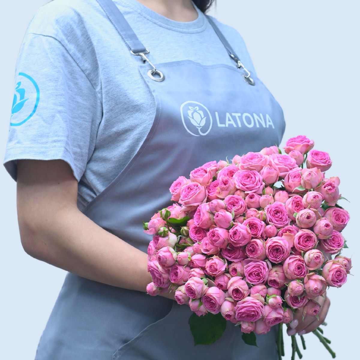 Պիոնանման վարդ  Ռեդ Պիոանօ 11 ճյուղ