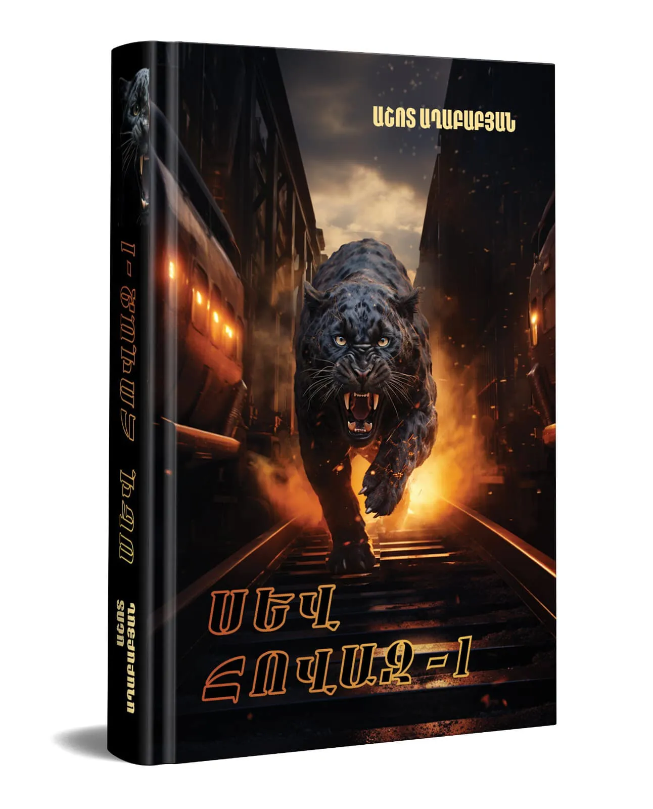 Սև հովազ 1