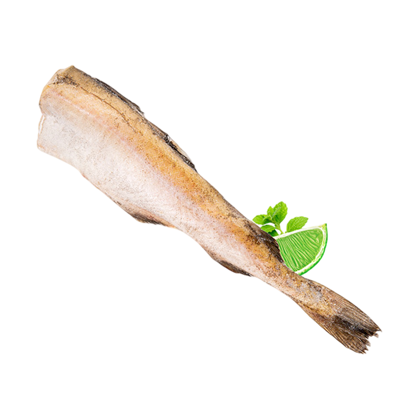 Frozen pollock 30+ kg