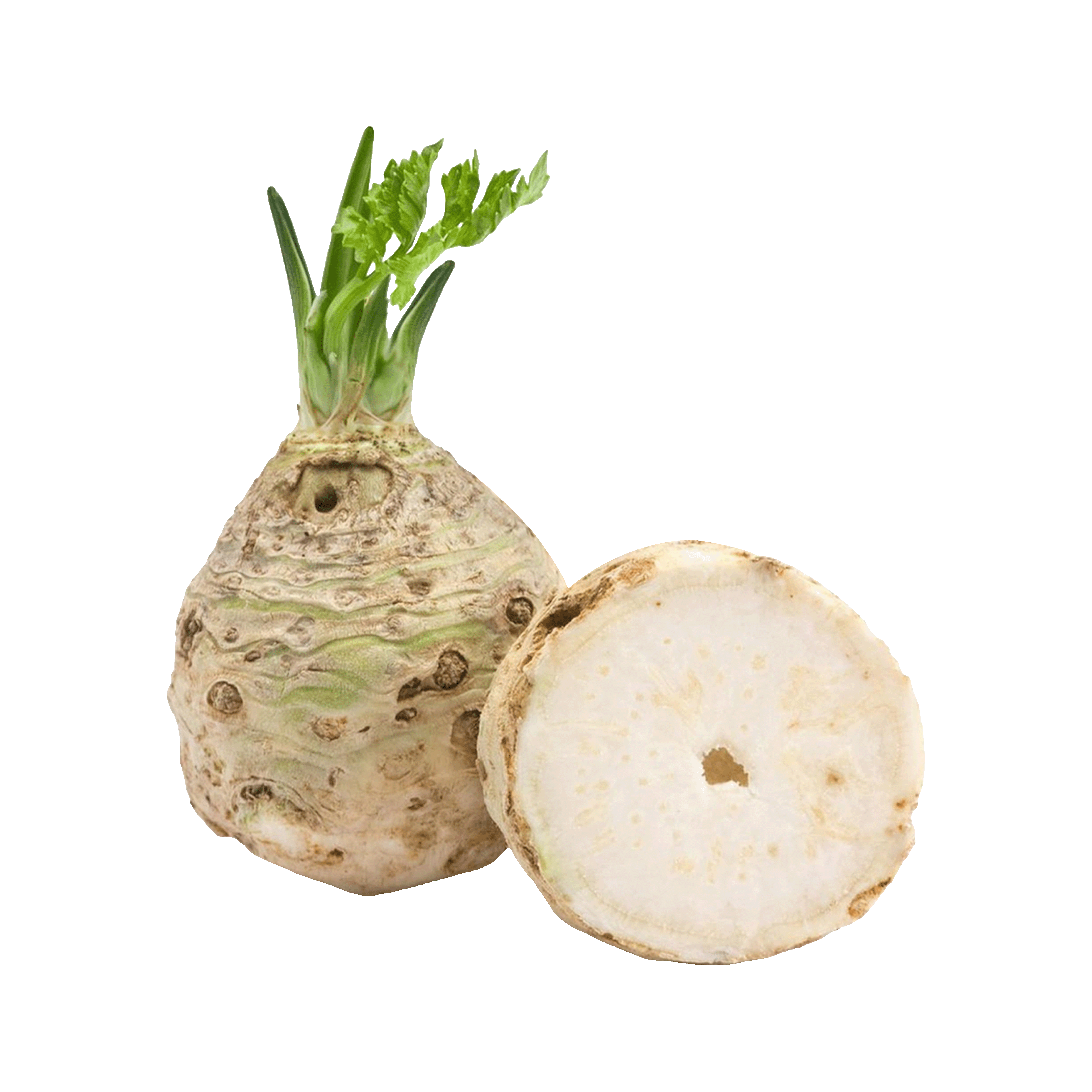 Сельдерей (корень) кг