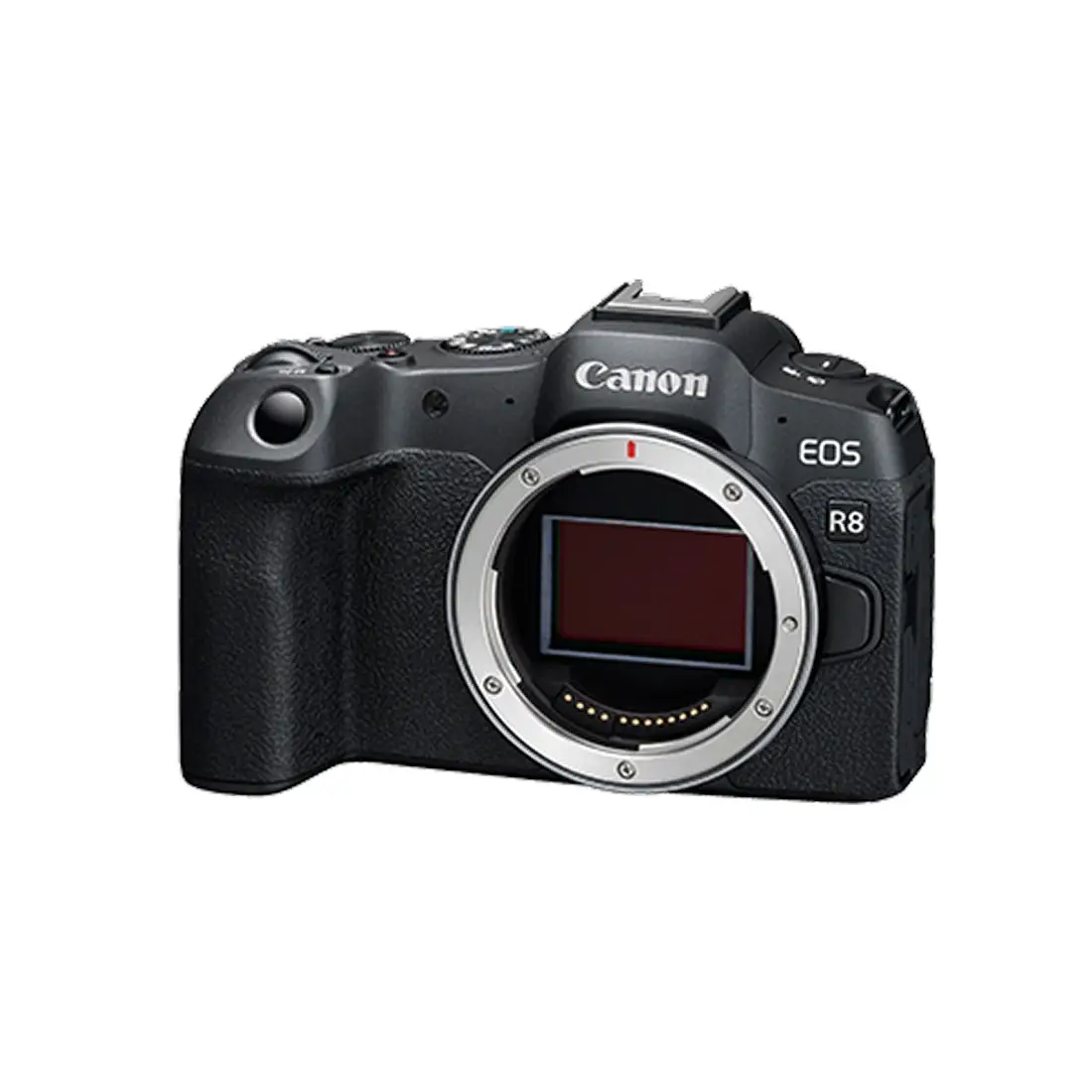 Ֆոտոխցիկ Canon R8 Body