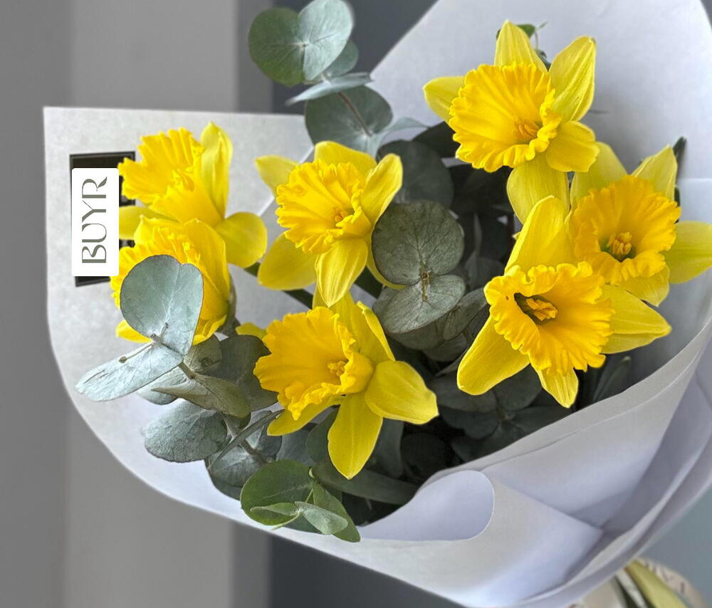 Նարգիզ էվկաիպտով (7 հատ)