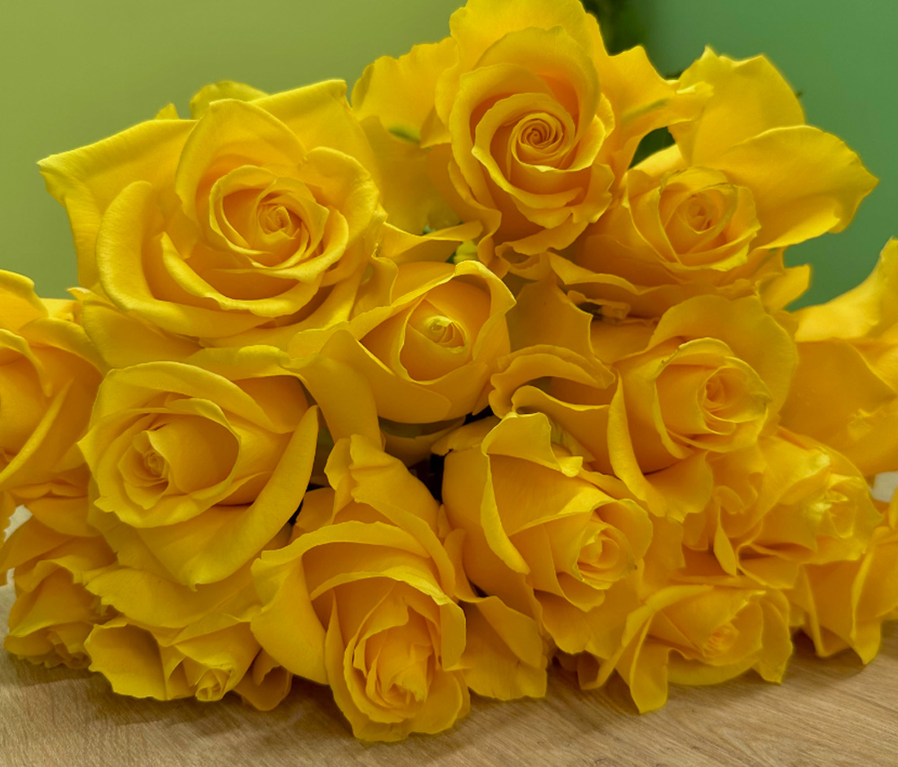 Rose "Yellow" (1 pc)