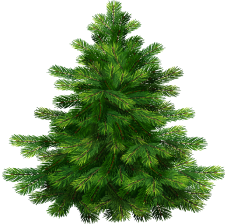 Christmas tree 