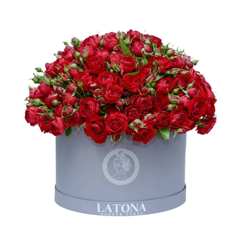 Flowers in a Big Box "Triton" with red Peony Roses
