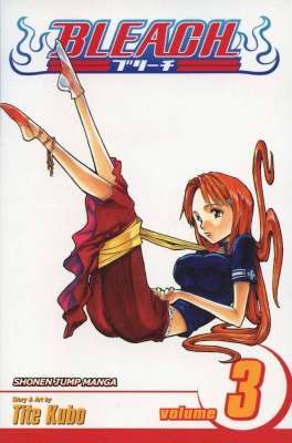 Bleach Vol. 3