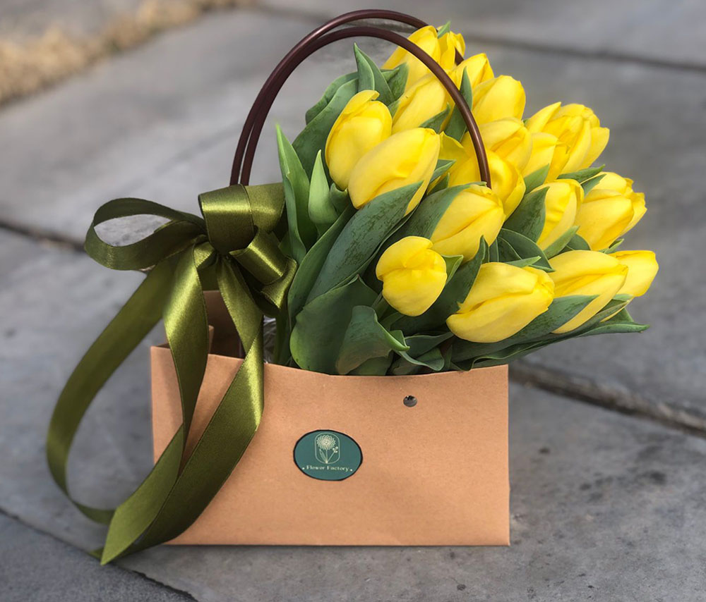 Tulips N2