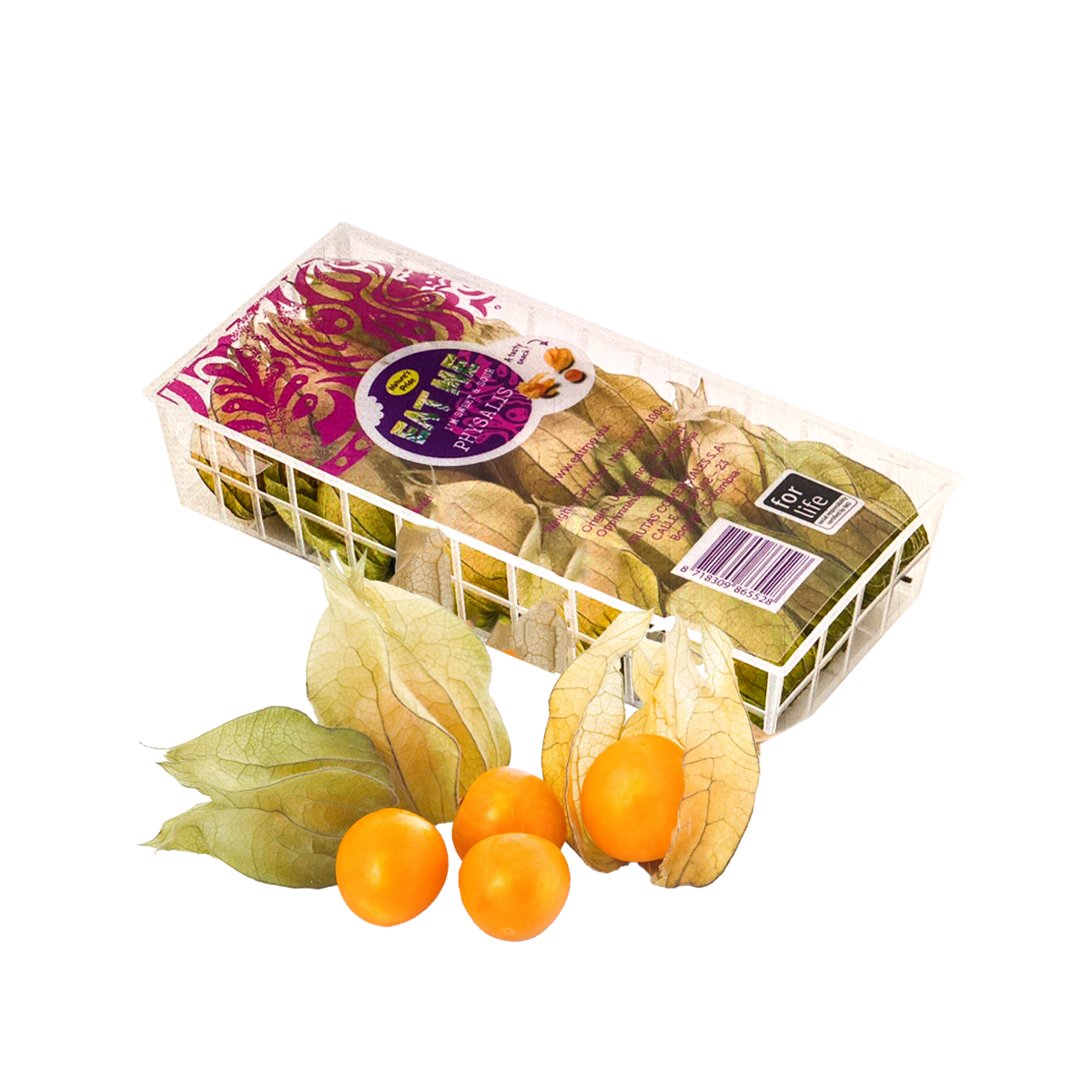 Physalis pc