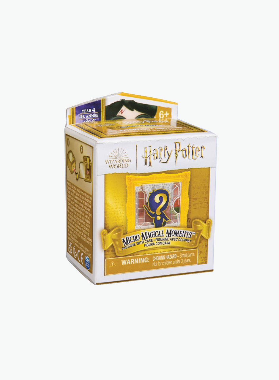 Spin Master Figurine Harry Potter «Micro Magical Moments»