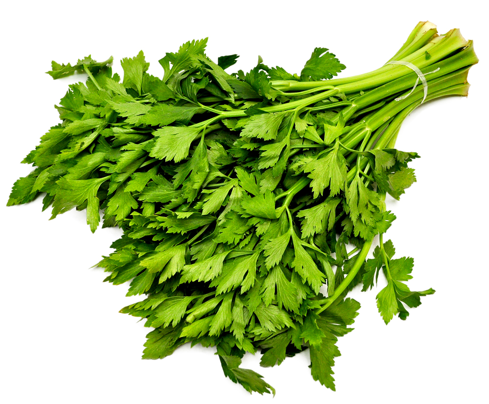 Նեխուր