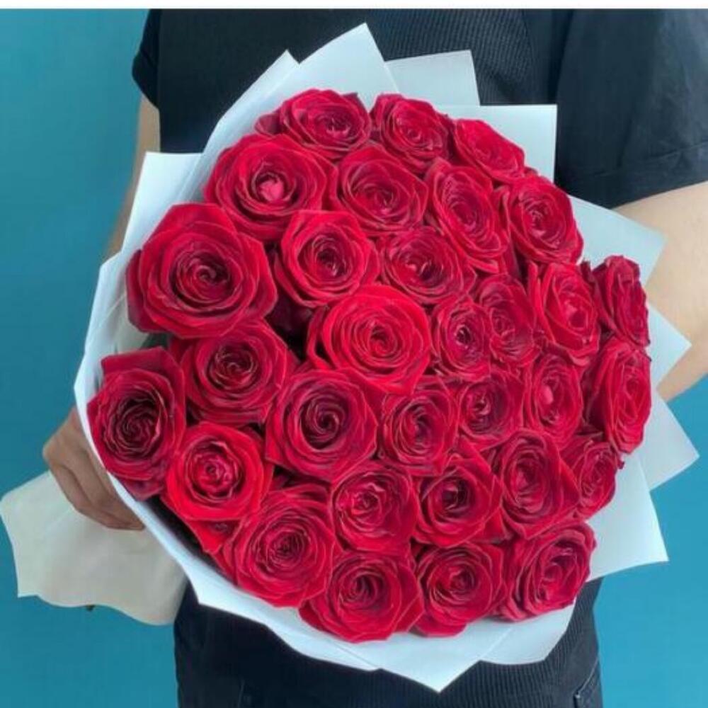 Red roses (31 pcs)