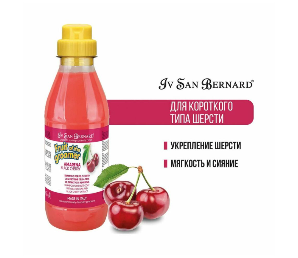 Iv San Bernard Groomer Shampoo for dogs and cats with short hair Black Cherry, 500 ml