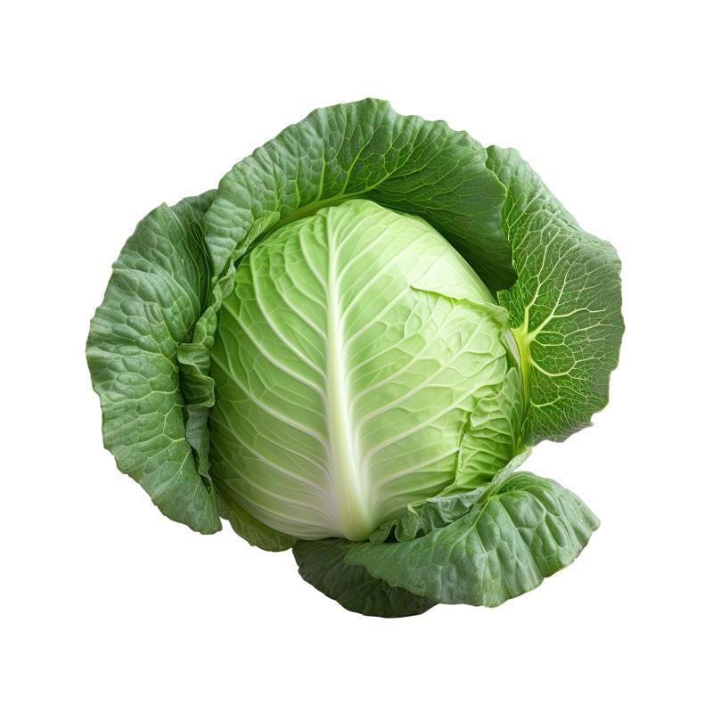 Կաղամբ (հայկական) կգ