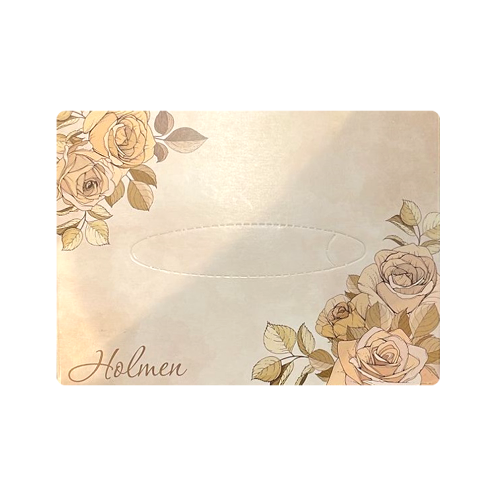 Անձեռոցիկներ «Հոլմեն» փոքր 100հտ