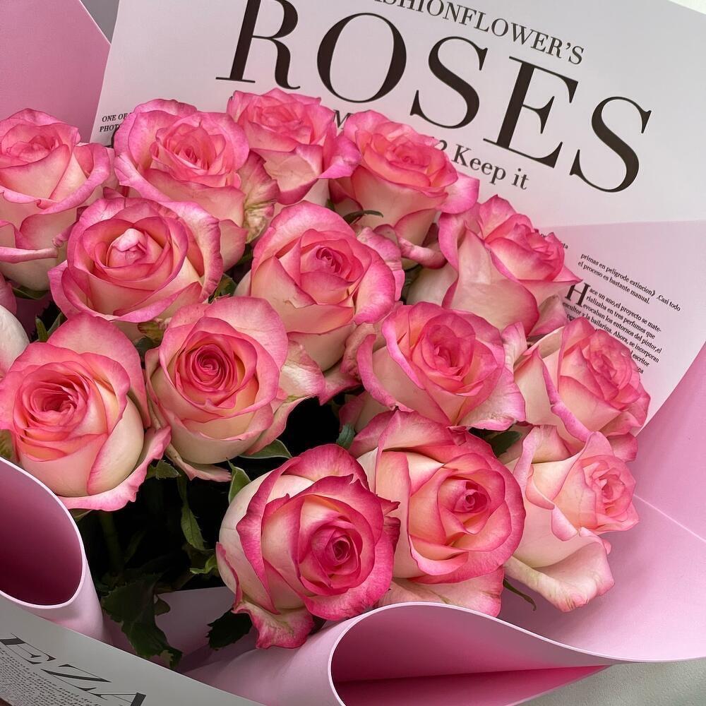 Jumilia roses (15 pcs)