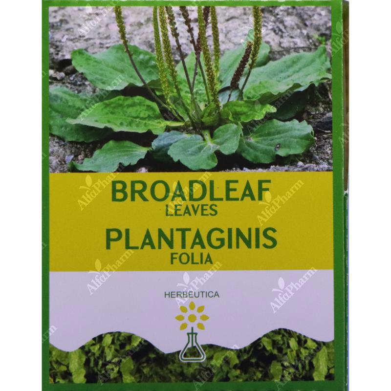 Ջղախոտի տերևներ 25գ