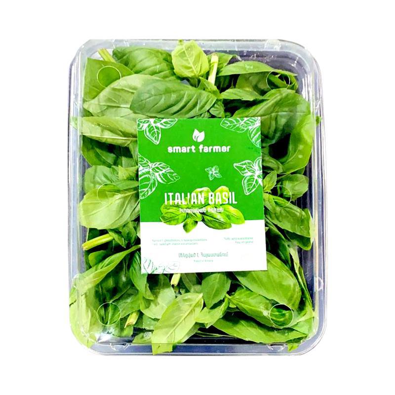 Ռեհան «Սմարթ Ֆարմեր» (հայկական) հտ