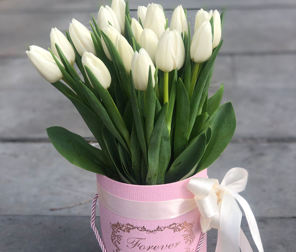 Tulips N3