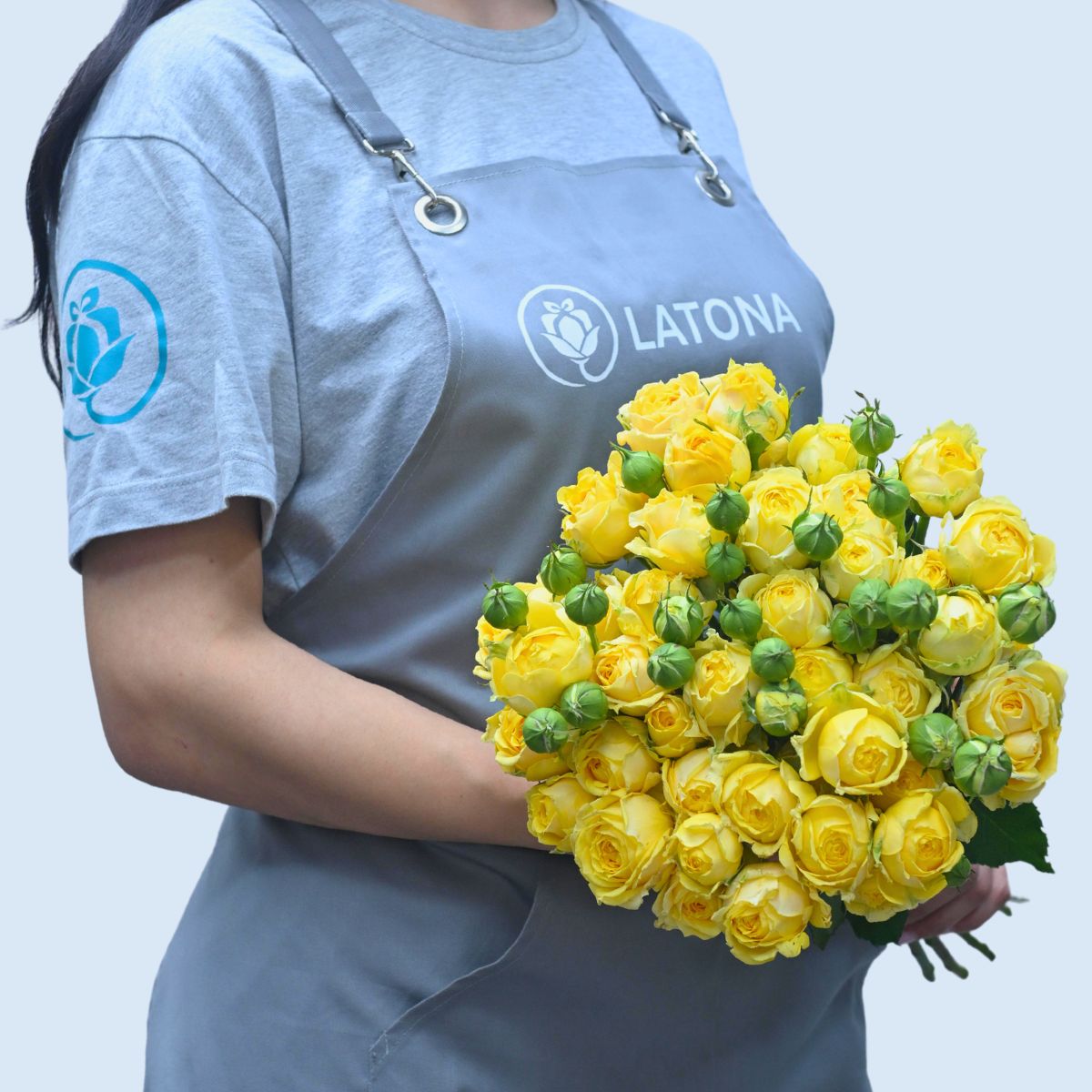 Պիոնանման վարդ  Կատալինա 11 ճյուղ