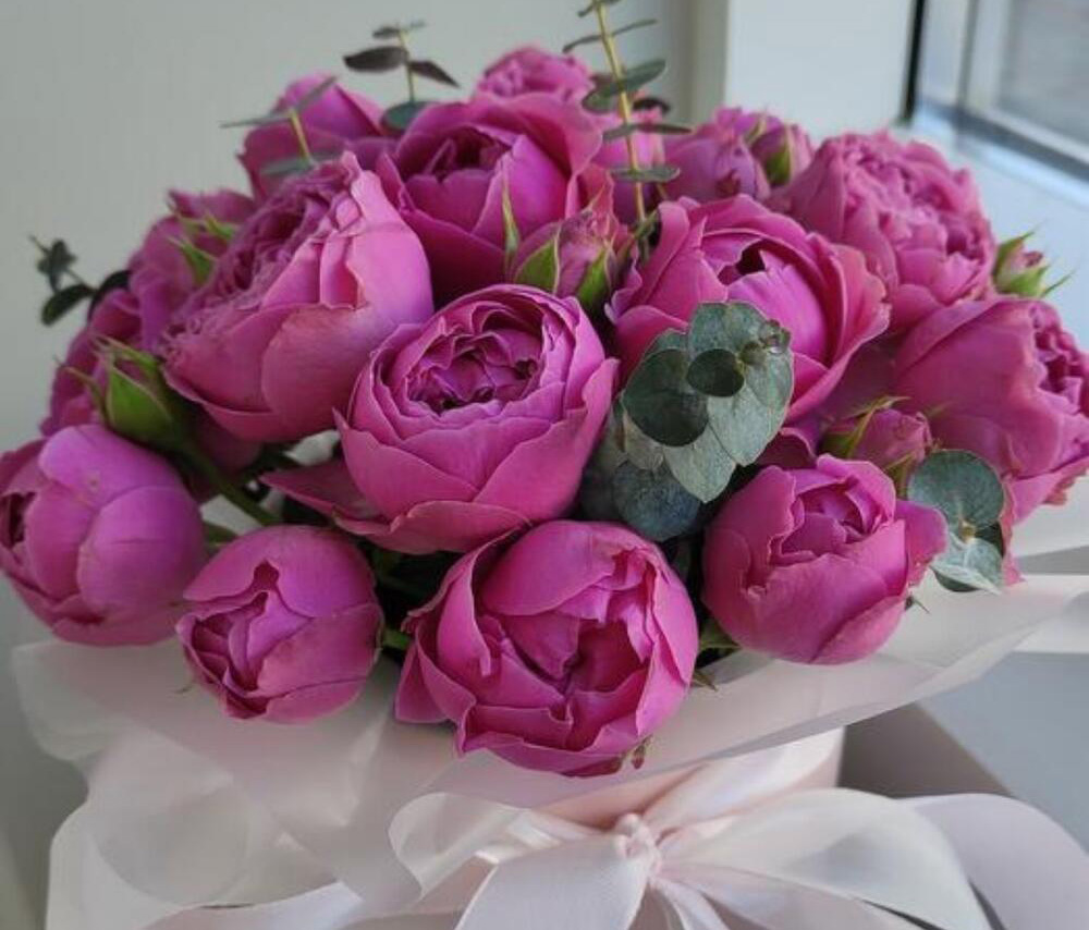 Պիոնավարդեր տուփի մեջ (10 հատ)