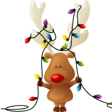 Christmas decorations and lights