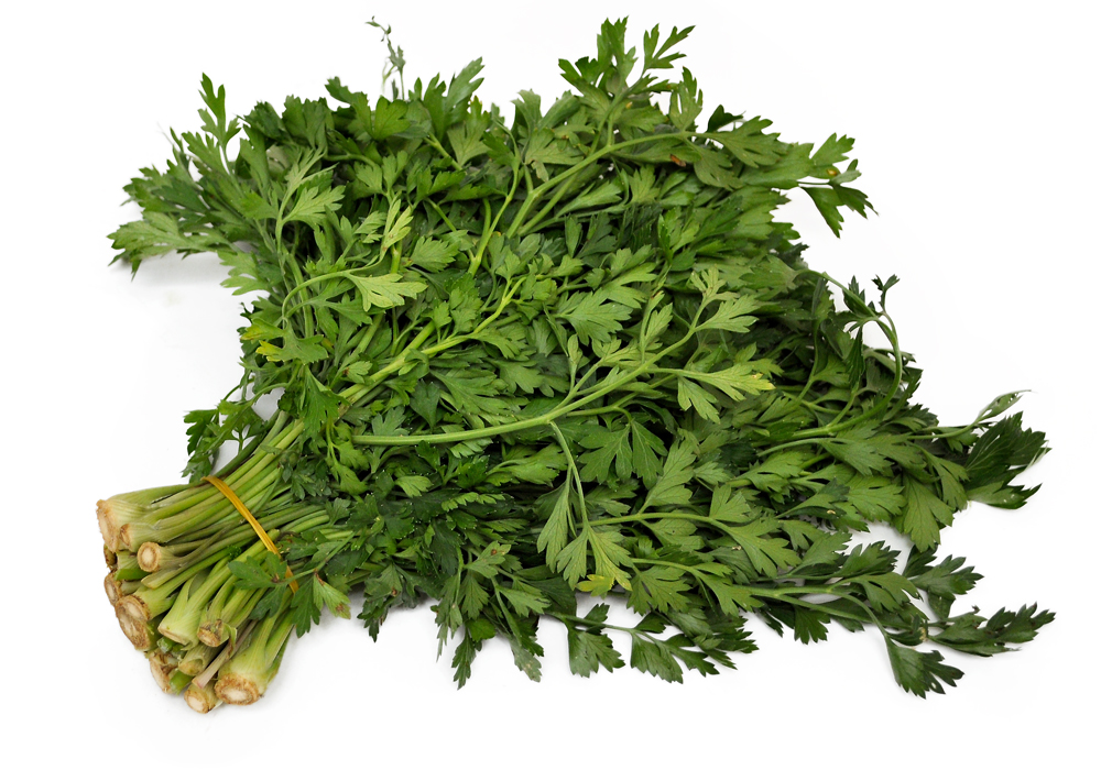 Մաղադանոս