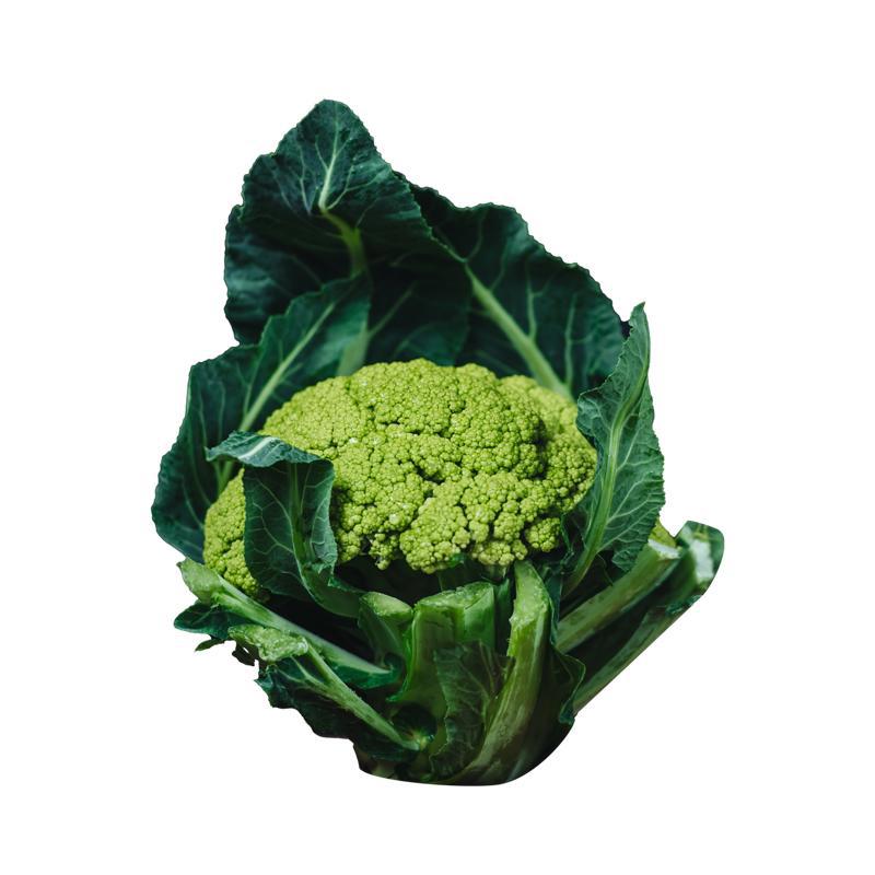 Капуста айсберг кг