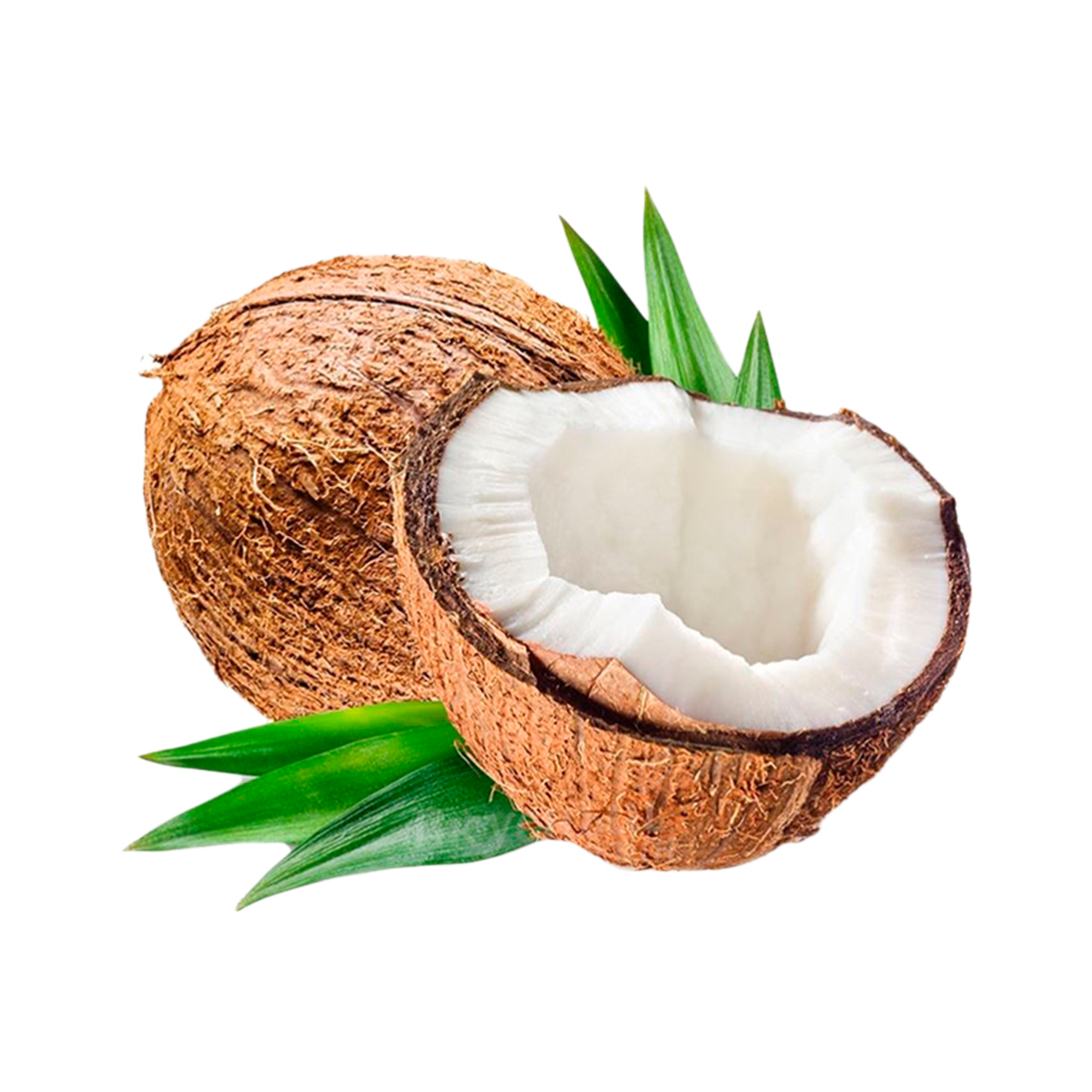 Coconut pc