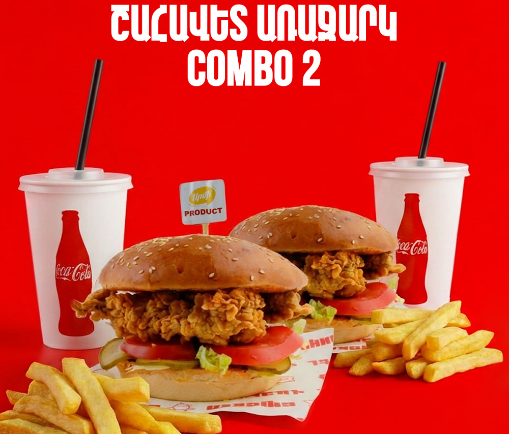 Combo 2 with Strips burger
