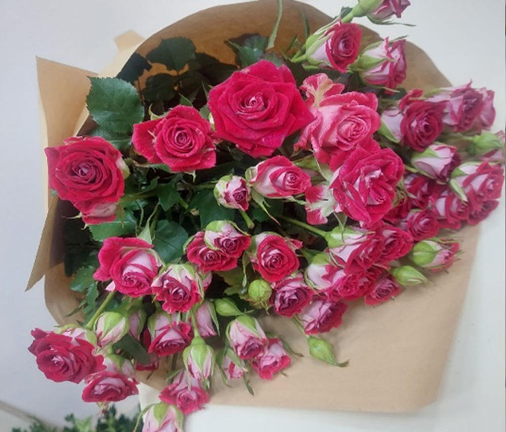 Փնջային վարդեր