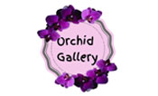 Orchid Gallery