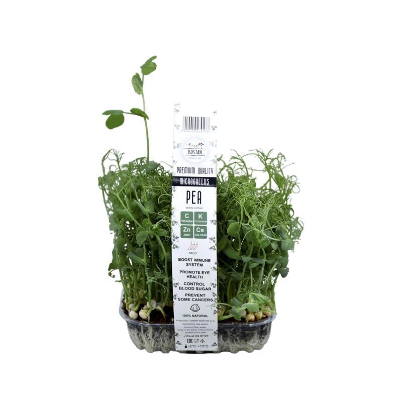 Միկրոկանաչի «Բոստան» ոլոռ (հայկական)