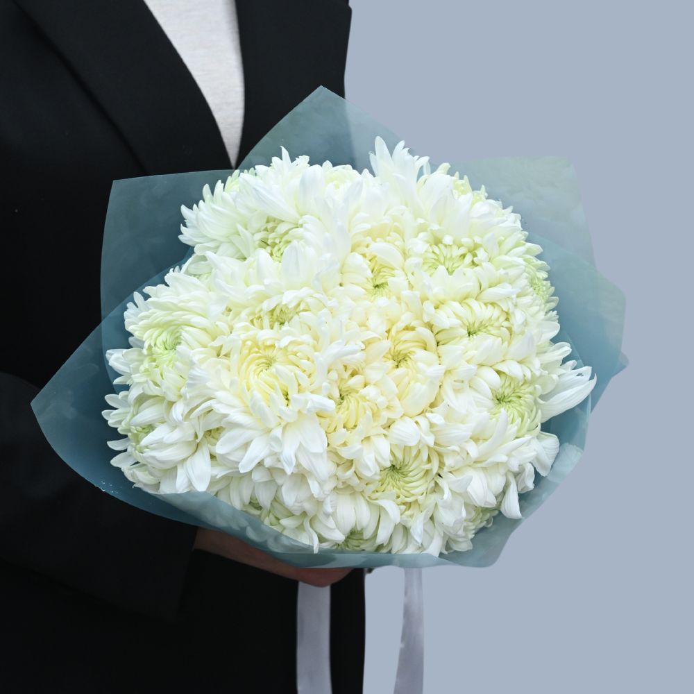 Փունջ սպիտակ Զեմբելա