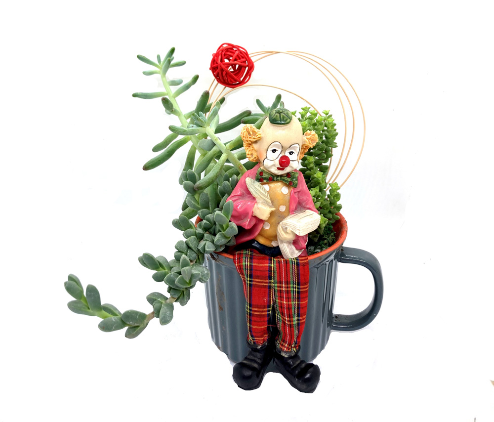 ԴԵԼՈՍՊԵՐՄԱ (Delosperma lehmannii) ԵՎ  ԹԱՆՁՐԱՏԵՐԵՎՈՒԿ/ԿՐԱՍՈՒԼԱ