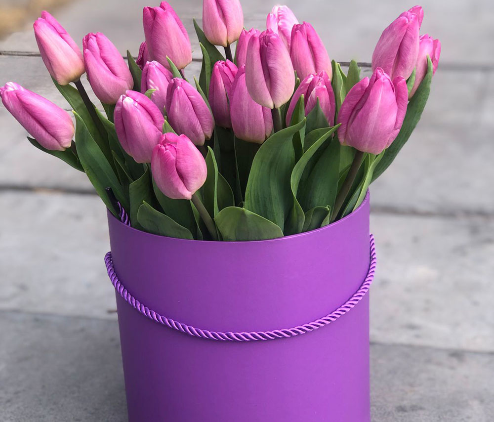 Tulips N1