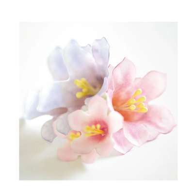 Դեկոր Pistil սպիտակ/դեղին