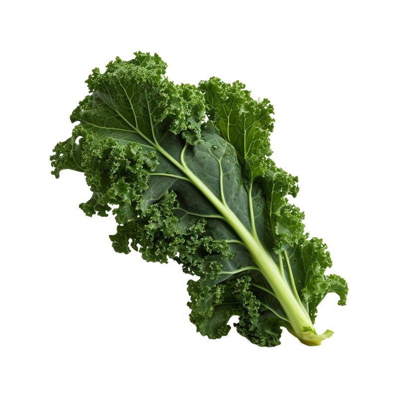 Քեյլ Կանադական հտ