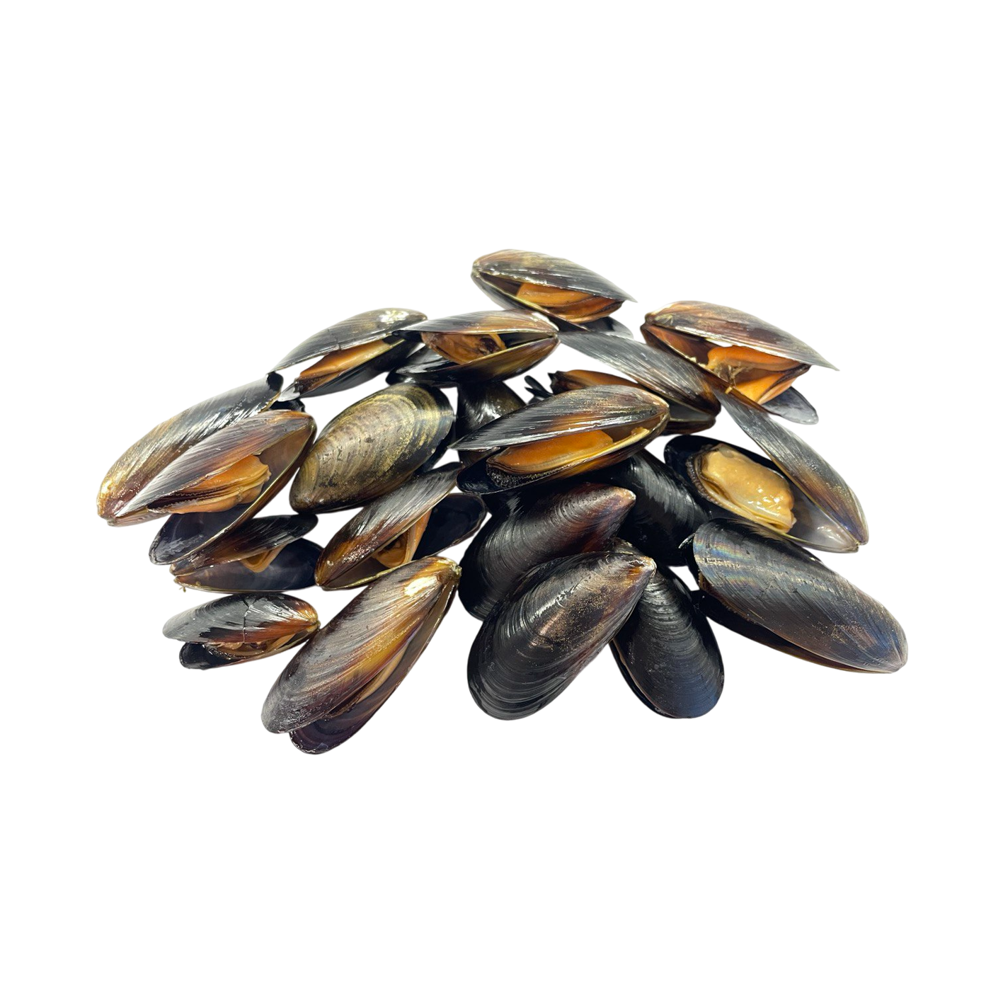 Միդի սառեցված 40/60 կգ