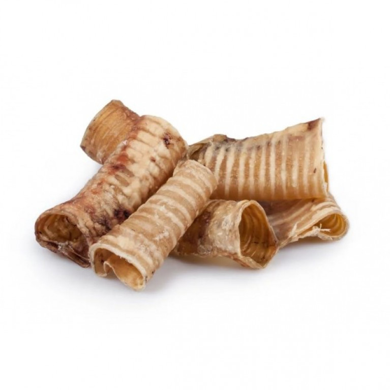 Yoko Beef շնչափող փոքր և միջին ցեղատեսակների շների համար, չափի S