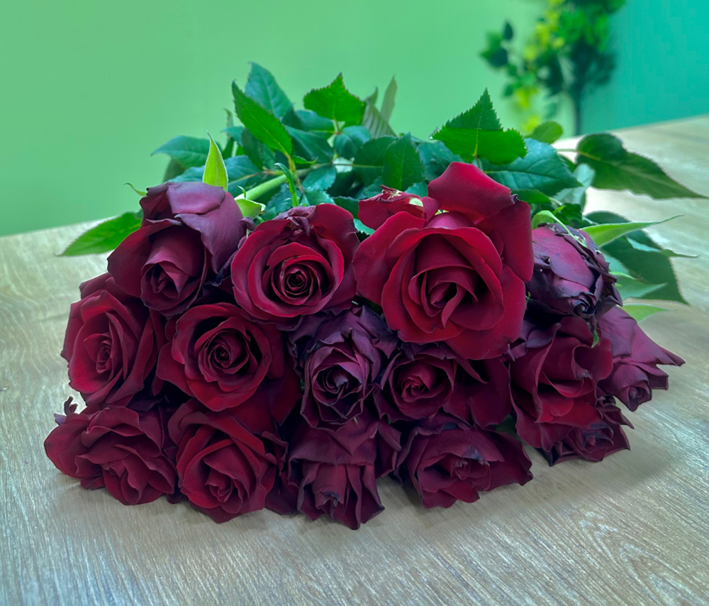 Rose "Red" (1 pc)