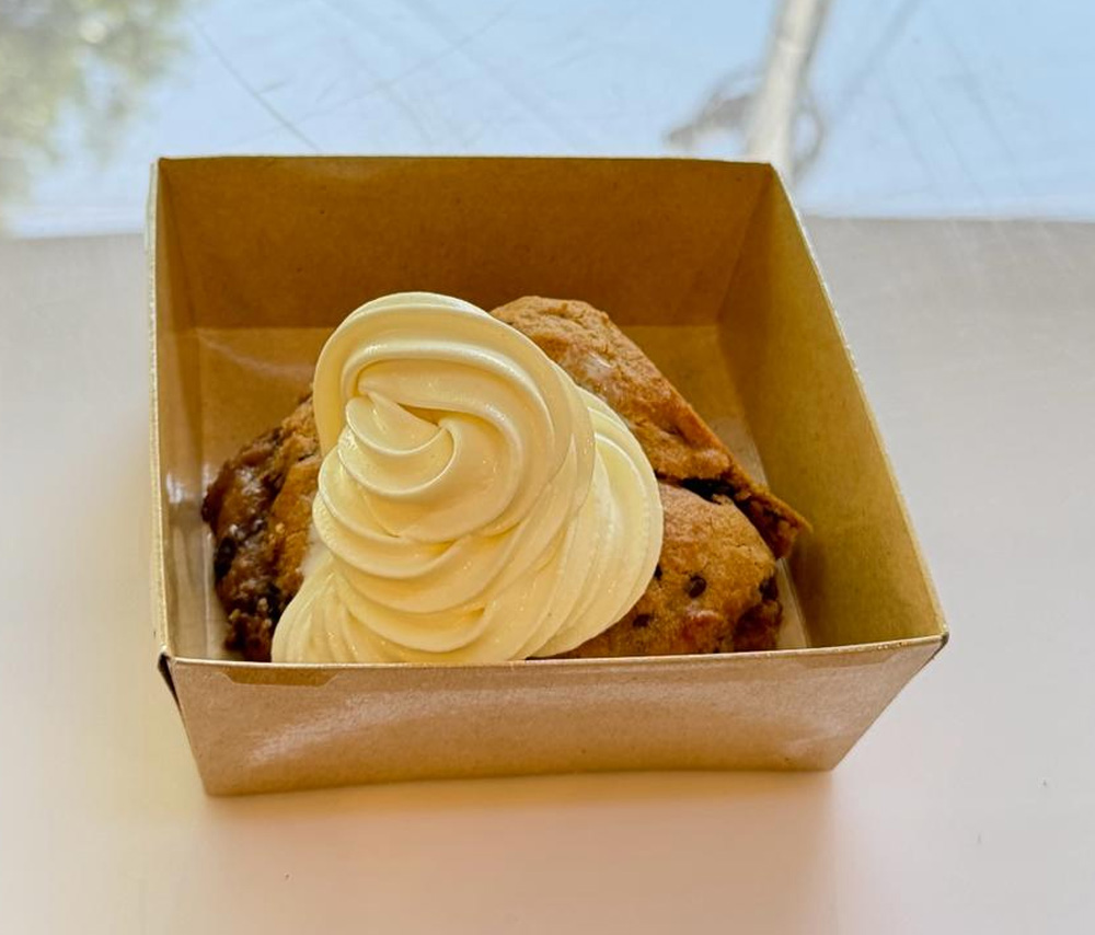 Choco biscuit with ice cream