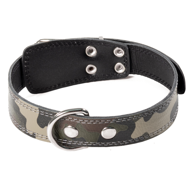 Gamma Վզկապ, շների համար, կաշվե, 35 մմ*600 մմ